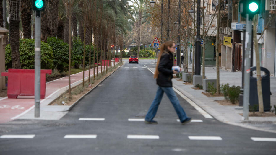 Alicante Defiende Ante El S Ndic La Reposici N De Arbolado En Las Obras