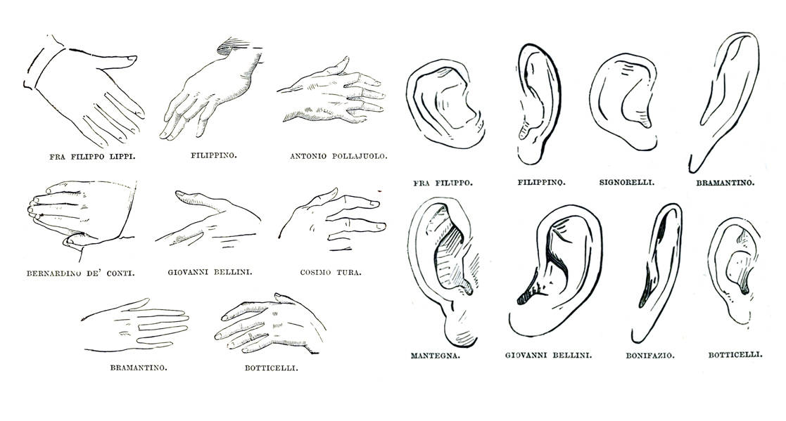 Catálogo de orejas y manos dibujadas por Morelli.