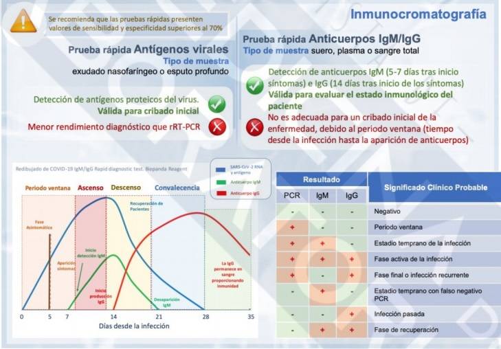 Gráficos sobre los test rápidos antigénicos y serológicos. Foto: REVISTA MEDICINA DE LABORATORIO