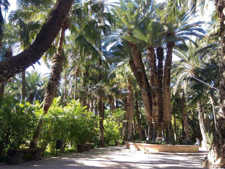 El Jardín Artístico Nacional Huerto del Cura reabrirá sus puertas el 3 de  julio - Alicanteplaza