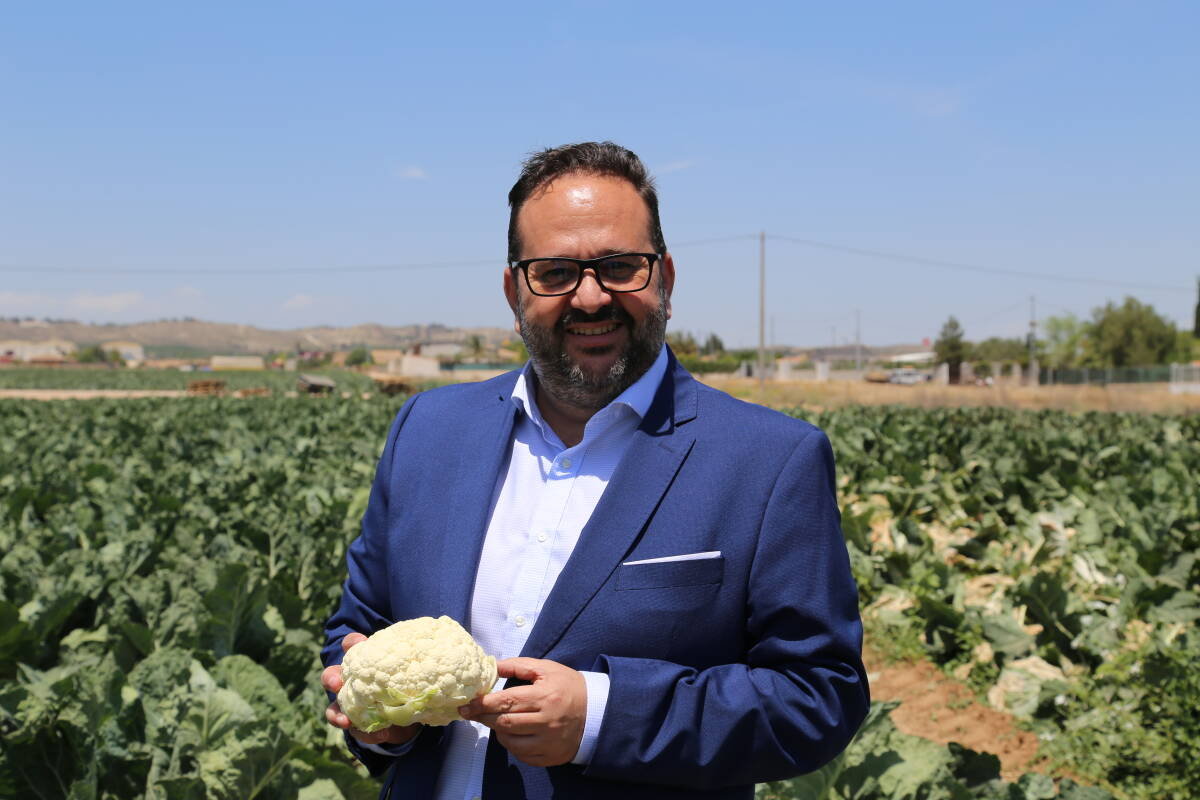 Pedro Tallón, director regional Levante, con una coliflor en el campo de un agricultor proveedor de Serunion.