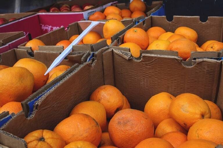 Cajas de naranjas. Foto: LA UNIÓ