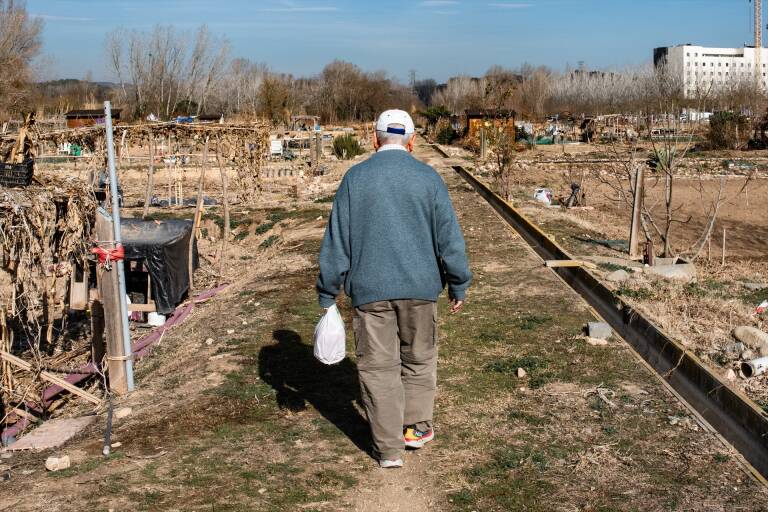 Un agricultor en las Hortes de Santa Eugènia, a 2 de febrero de 2024. Foto. GLÒRIA SÁNCHEZ/EP